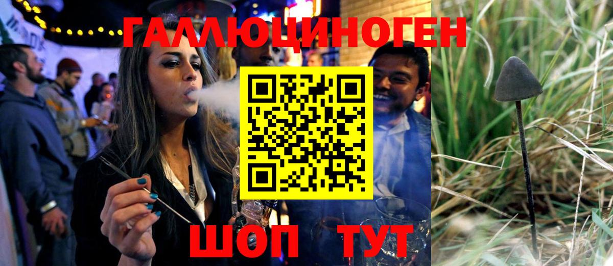 Галлюциногенные грибы Psilocybe  Псилоцибиновые грибы GOLDEN TEACHER  купить наркотик  Вход с VPN  Кисловодск 